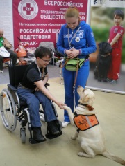 Rehacare International Exhibition guide dog image