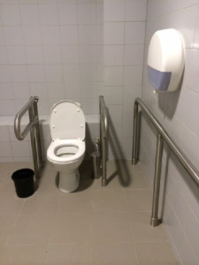 Sochi grab bar placement around toilet
